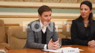 Brnabić i laž godine